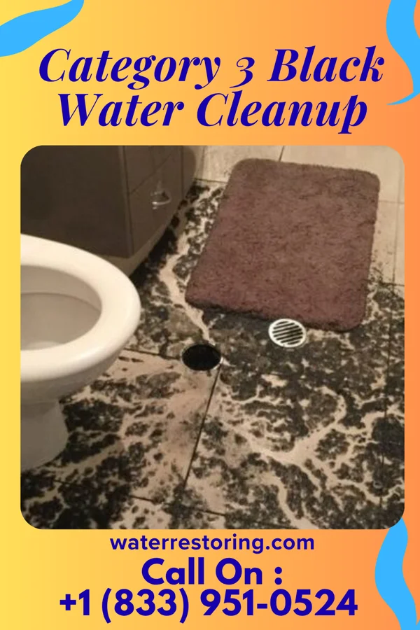 Category 3 Black Water Cleanup in McDonald, TN