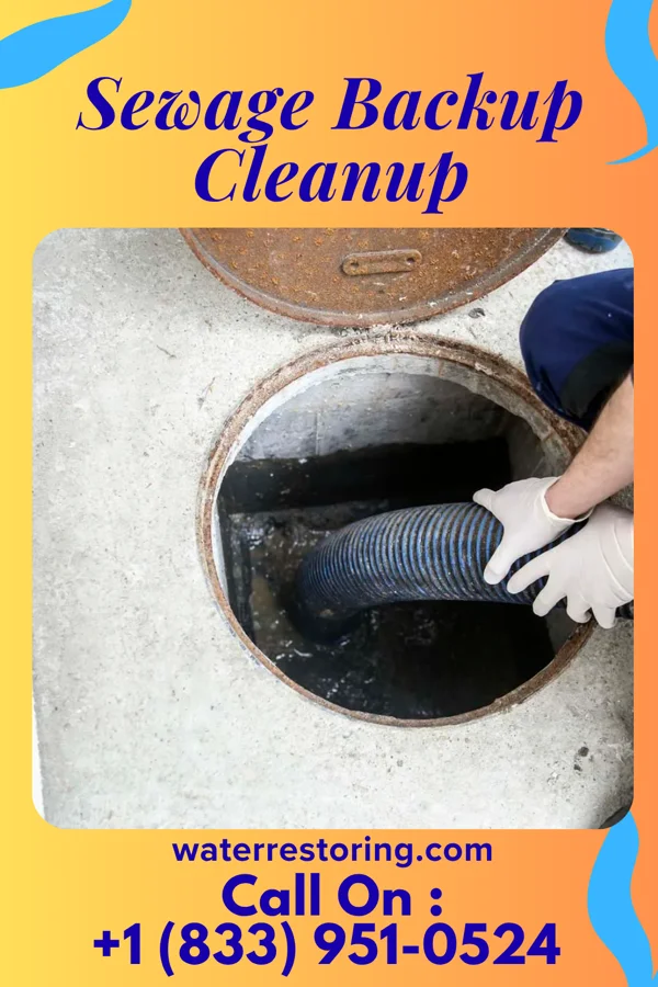 Sewage Backup Cleanup in McDonald, TN